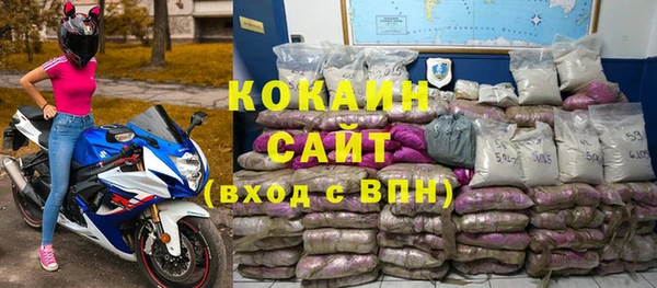 тгк Каменка
