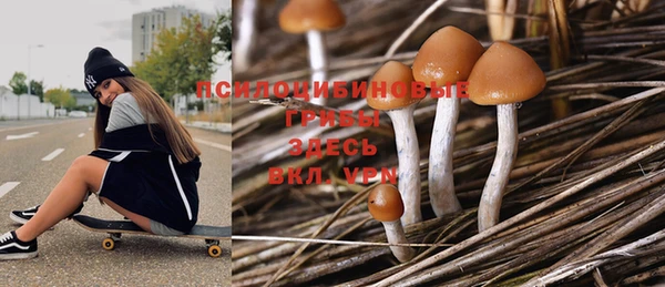 героин Каменногорск