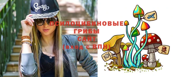 тгк Каменка