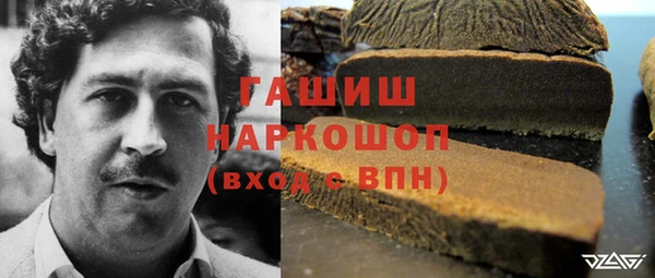 тгк Каменка