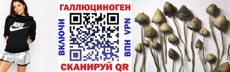 Галлюциногенные грибы GOLDEN TEACHER  Купить закладки  Балахна 